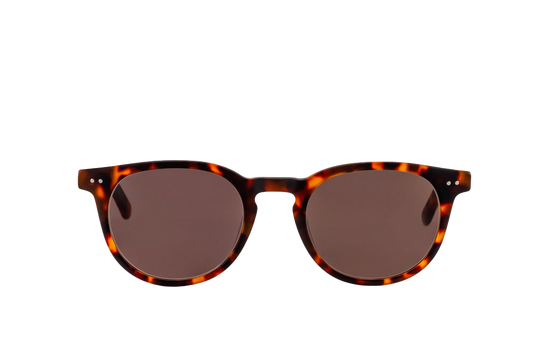 Clarke Sunglasses (Brown)